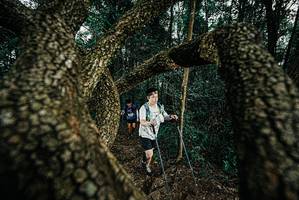 BIB: 
                            <button type="button" onclick="openModal(25703091)" class="btn btn-primary btn-sm float-right btn-popup" data-toggle="modal" data-target=".modal-high-quality">
                        <i class="fas fa-shopping-cart"></i> Add to Cart
                    </button>
                                            <button type="button" onclick="isThisMe(25703091, true)" class="btn btn-success btn-sm float-right btn-popup btn-isme hidden" data-toggle="tooltip" data-placement="bottom" title="นี่คือรูปของคุณใช่ไหม คลิกที่นี่เพื่อเอาเข้าอัลบั้ม">
                        <i class="fas fa-plus"></i> Add to album
                    </button>
                    <button type="button" onclick="isThisMe(25703091, false)" class="btn btn-warning btn-sm float-right btn-popup btn-isnotme hidden">
                        <i class="fas fa-ban"></i> Remove from album
                    </button>